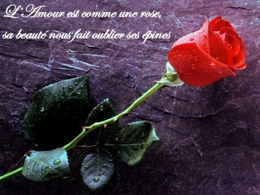 Citation Petits Mots Amour Tendresse